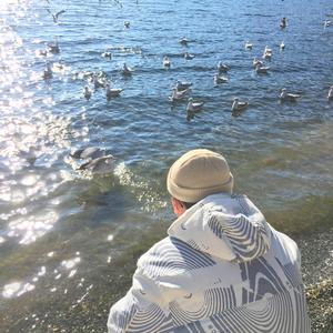 日本免费mv岛国在线观看
