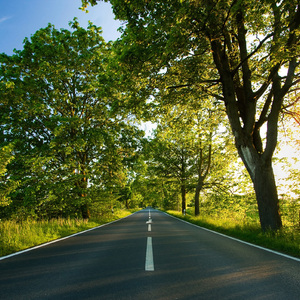日本免费mv岛国在线观看
